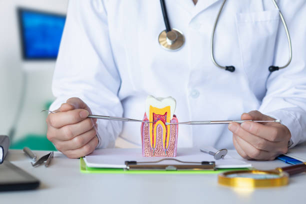 Best Root Canal Emergency Dentist  in Madison Lake, MN